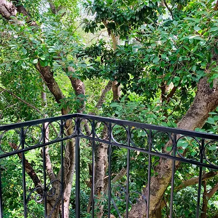 Villa Antilope-2